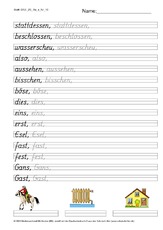 DSS_2S_Bu_s_Nr_10.pdf